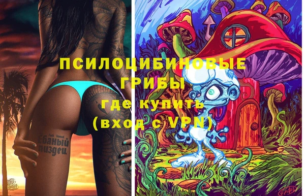 jwh Верея