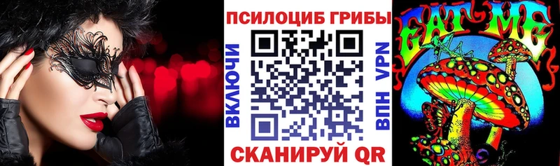 Галлюциногенные грибы Psilocybe  Глазов 